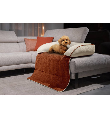 Hundebett / Katzenbett 100 x 120 cm orange + hellbeige DINA