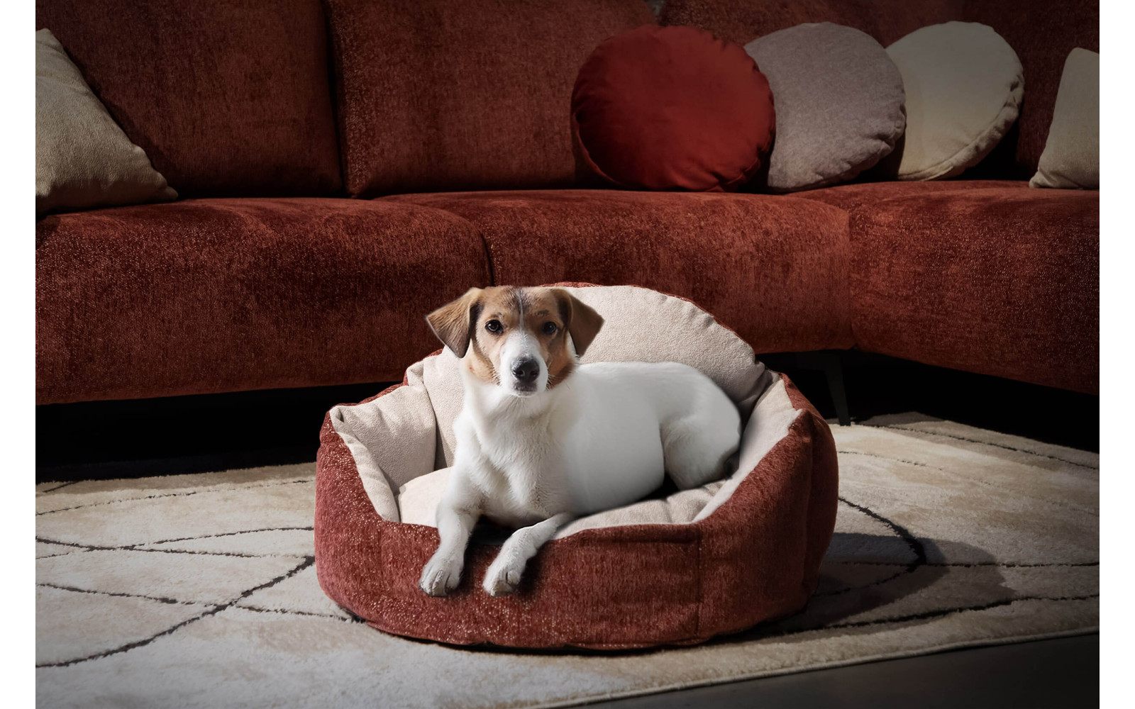 Hundebett / Katzenbett 70 x 55 cm rot + hellgrau MICKEY